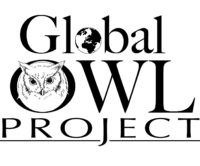 GLOW final logo